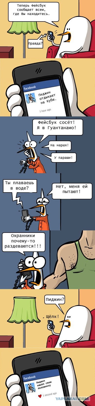 post-3-13184827645010.jpg