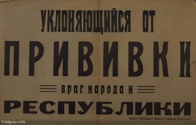 15680521.jpg
