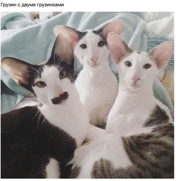 L0mxvAWd6jU.jpg
