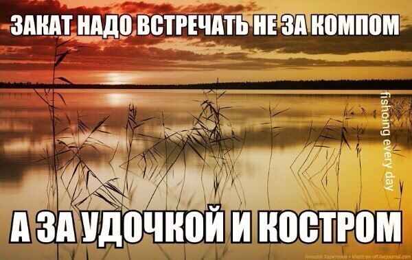 y6jtRNtz9Y8.jpg
