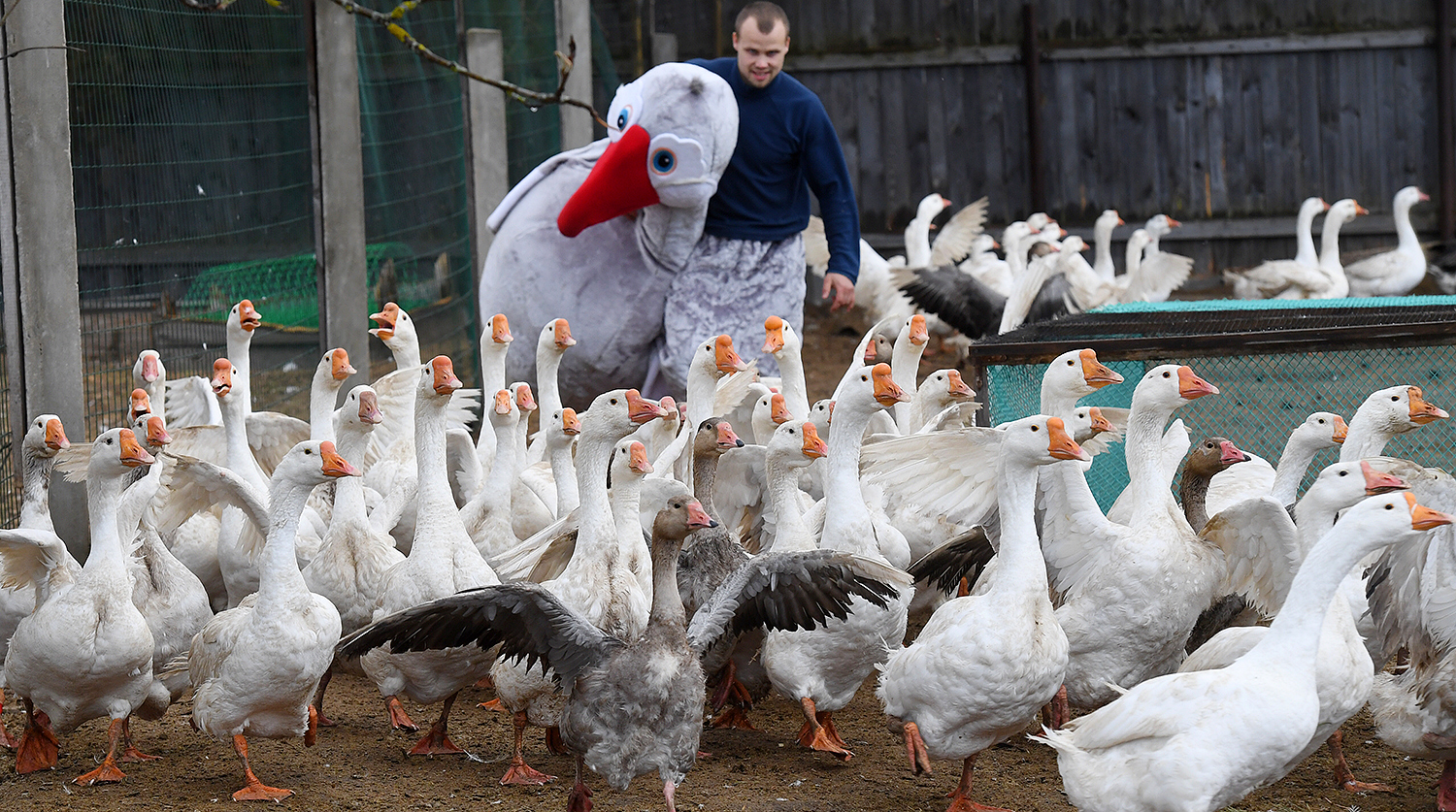 farmer-pic4_zoom-1500x1500-64332.jpg