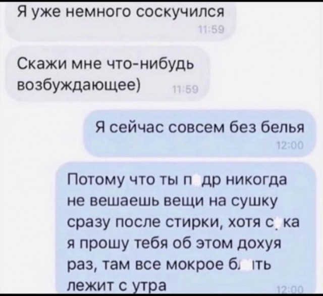 15408033.jpg