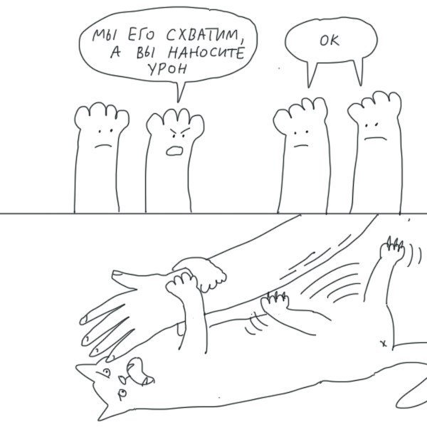 NRhMbsmZwbE.jpg