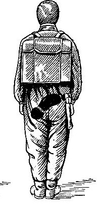 11262180.jpg