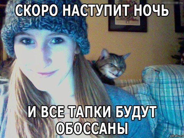 0y2.jpg