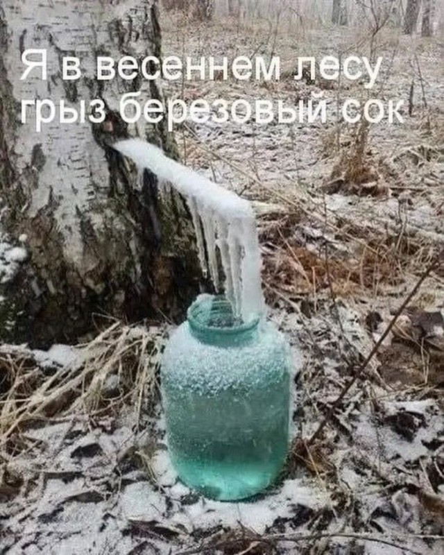 20959624.jpg