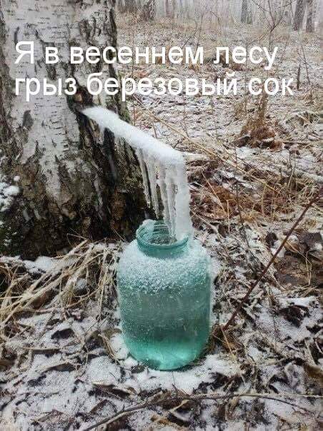 OQ7d1lGIWgE.jpg