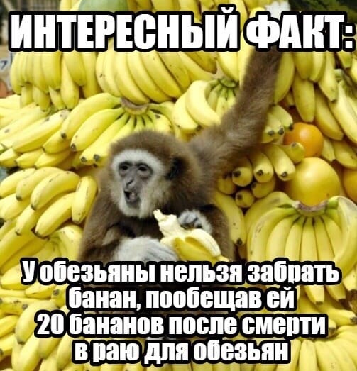 1569613237.jpg