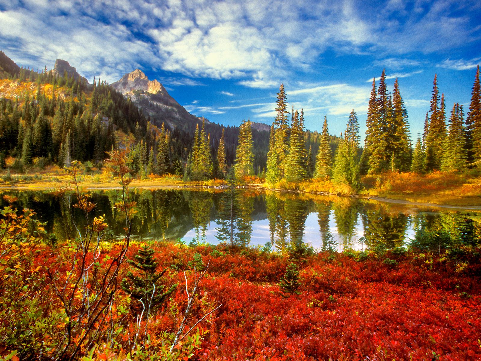 14_autumn.jpg