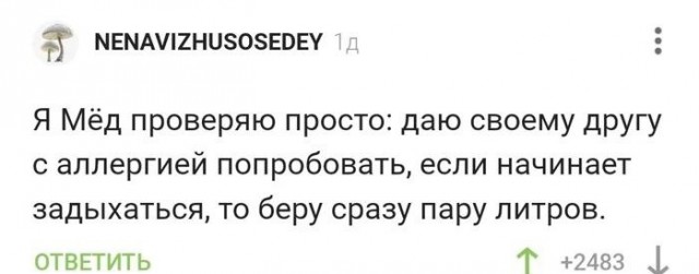 16066320.jpg