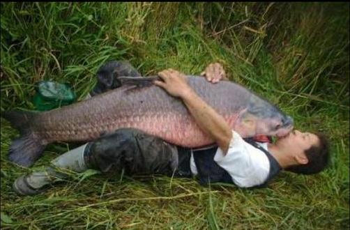 9bd378a50a1ddea2155bb4319b6b8b0f.jpg