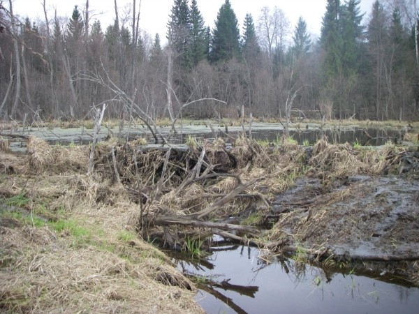 i-4788.jpg