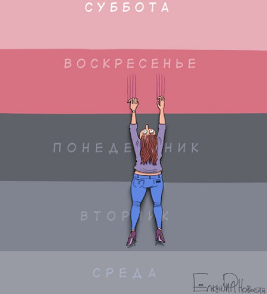1199799_original.jpg