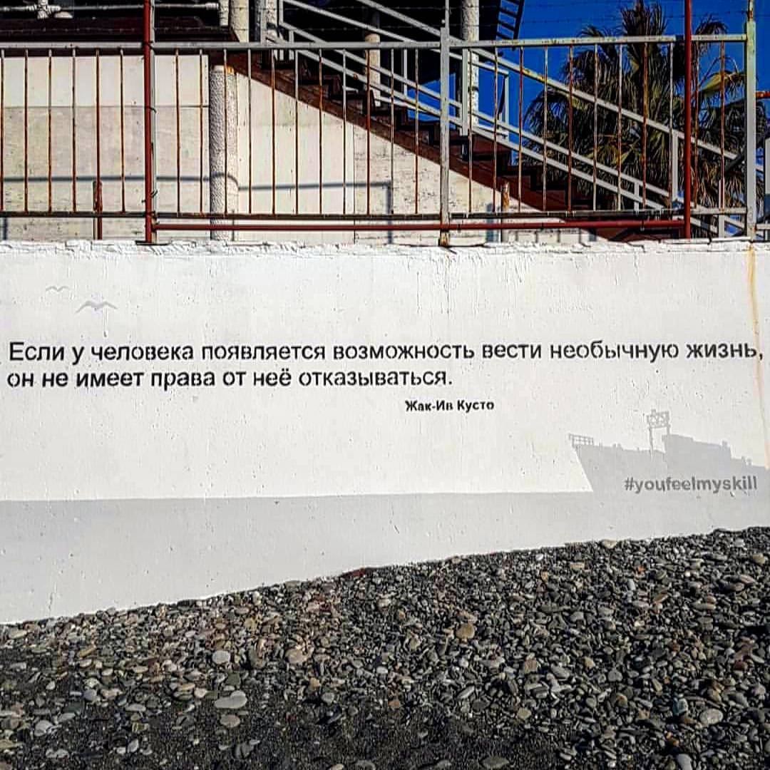 QHFlzeuaK6A.jpg