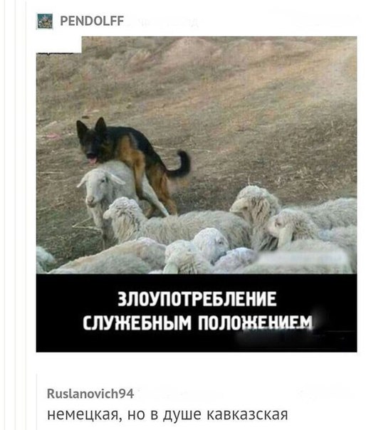 Tm1skoKs_So.jpg