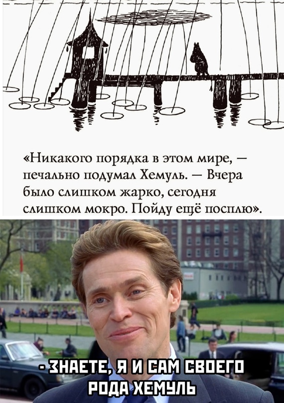15692915.jpg