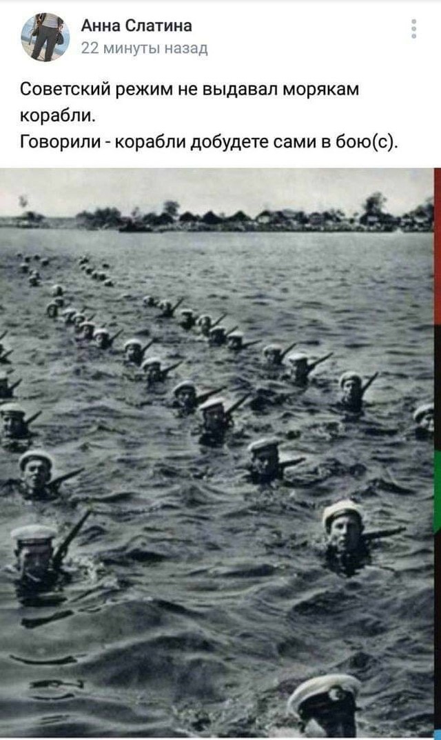15957051.jpg