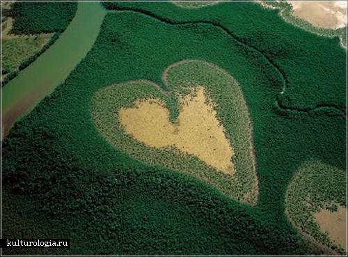heart_photo7.jpg