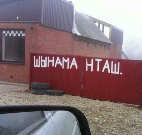 eKq8g1nJwnU.jpg