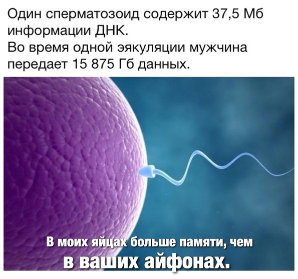 CzYL6o2HVS8.jpg