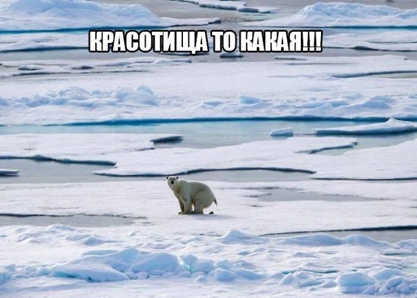xf9yPQXG82o.jpg