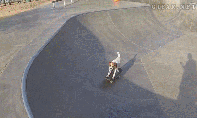 888.gif