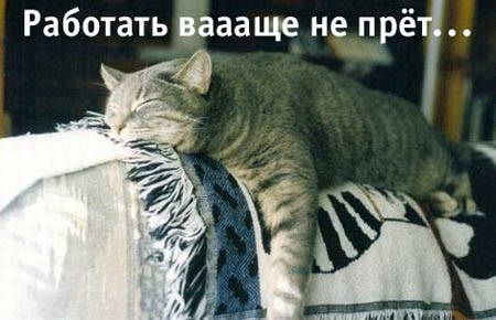 5291161_rabotat_ne_pret.jpg
