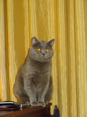 4701939_m.jpg