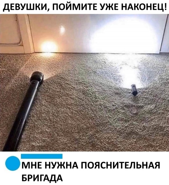 15321823.jpg