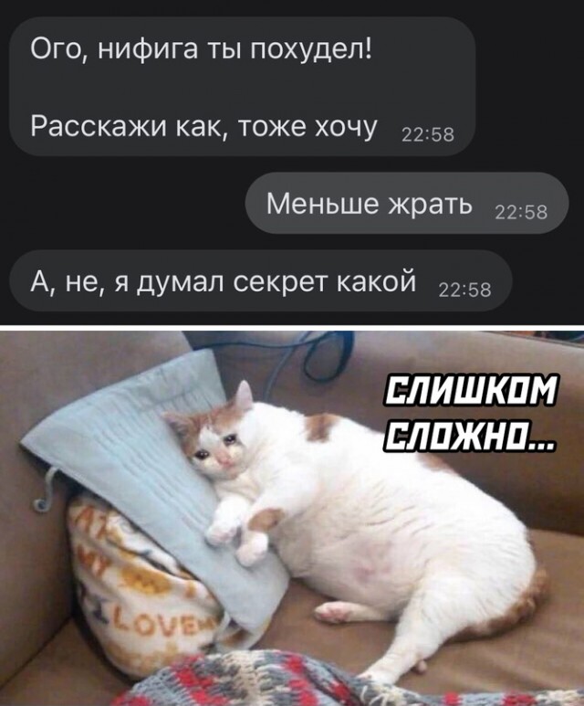15692841.jpg