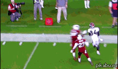 24fe08.gif