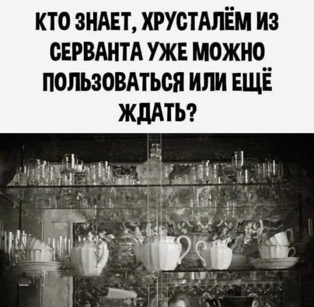 16145927.jpg