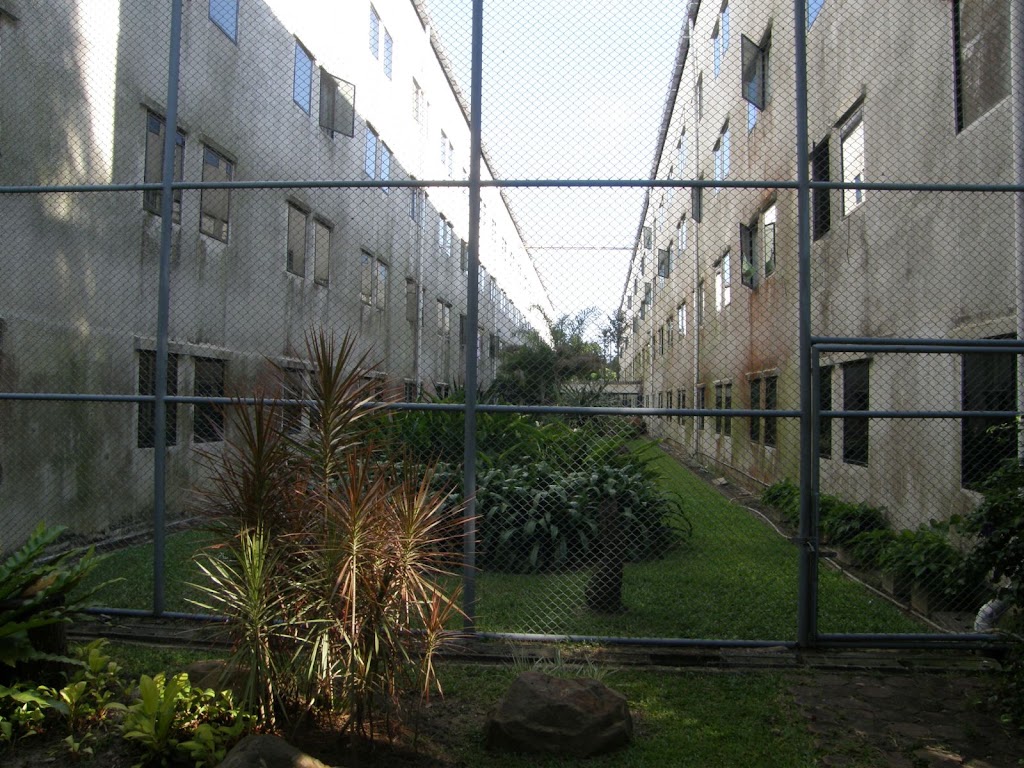 P4170033.jpg