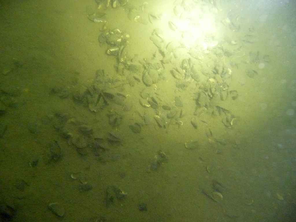s-1225.JPG