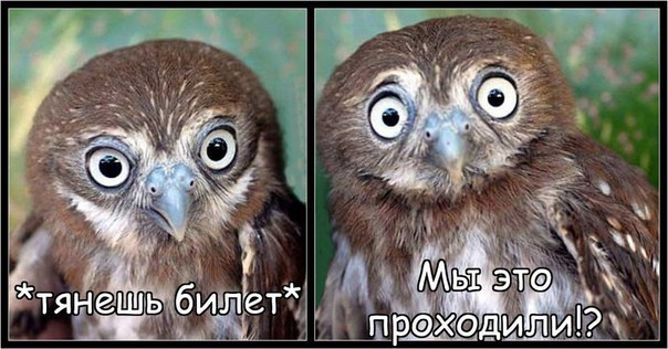 Y2jD4o2IOPo.jpg