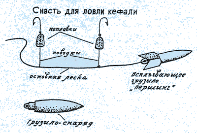 fishing3.gif