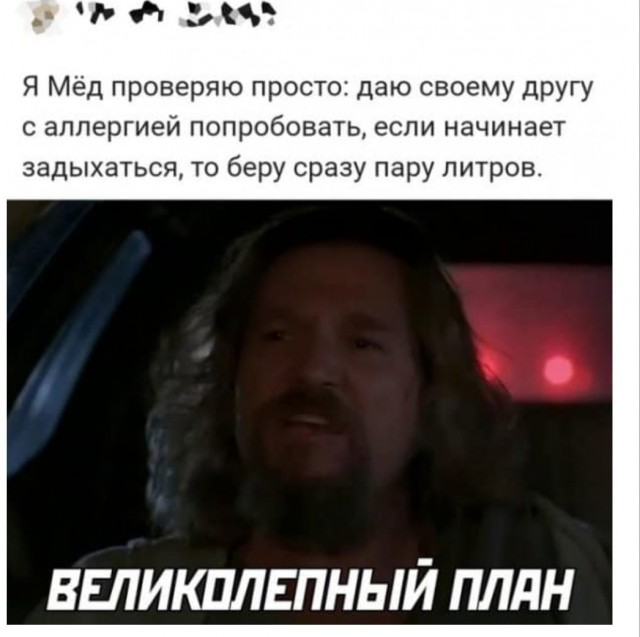 16314266.jpg