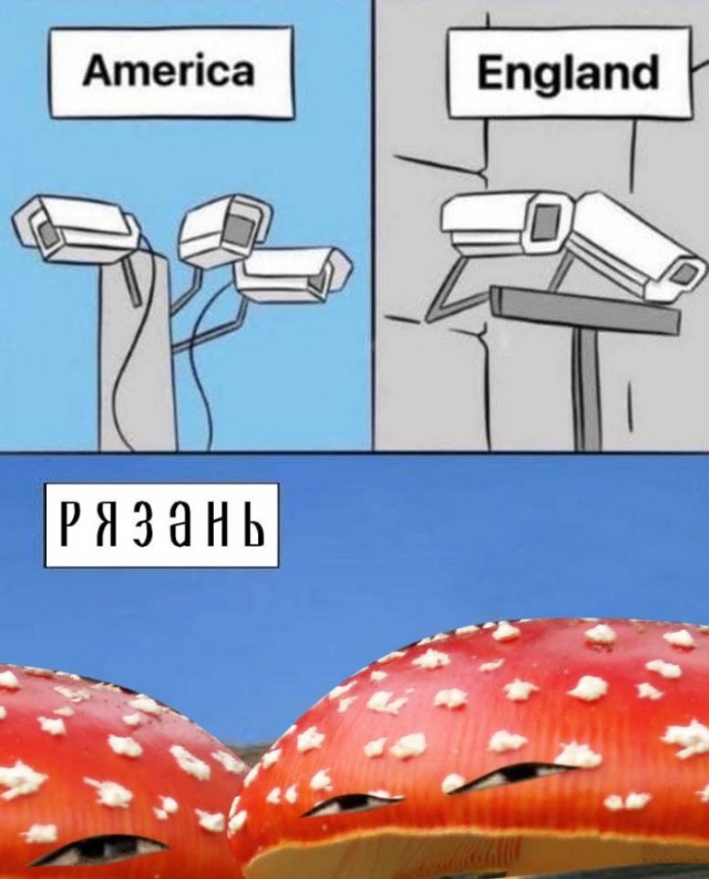 15293249.jpg