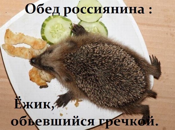 d2efe78f306567888b4bf3743b6e9e43.jpg