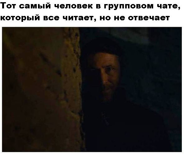 15806339.jpg