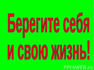 img28.jpg