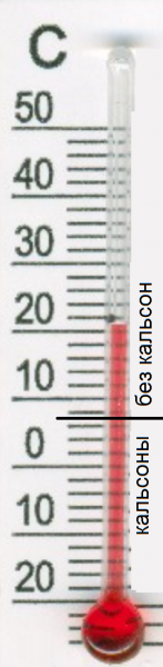 moj-semejnyjtermometr.png