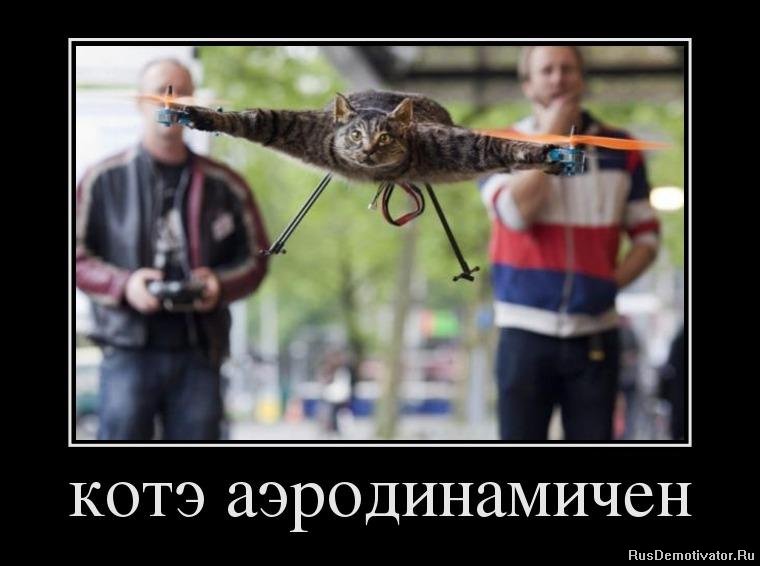 1339419255_58899995_kote-aerodinamichen.jpg