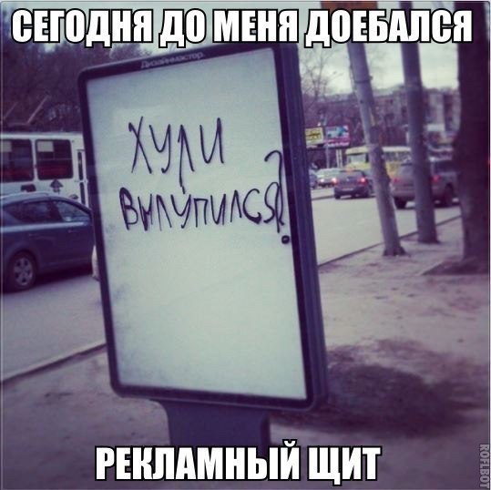bZdDw6kWN2s.jpg