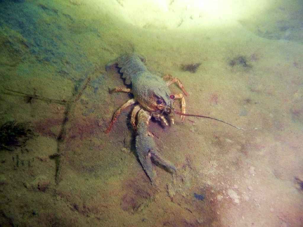 s-1228.JPG