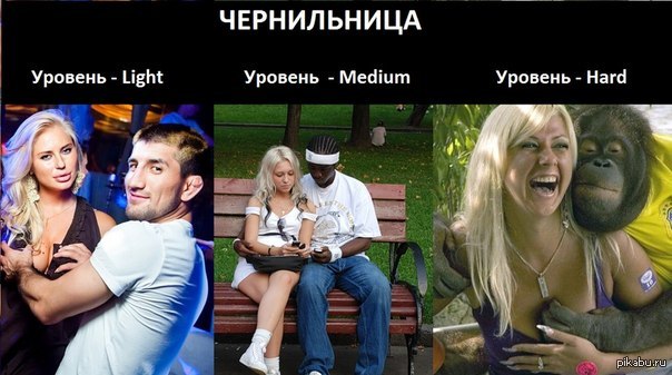 15373381.jpg