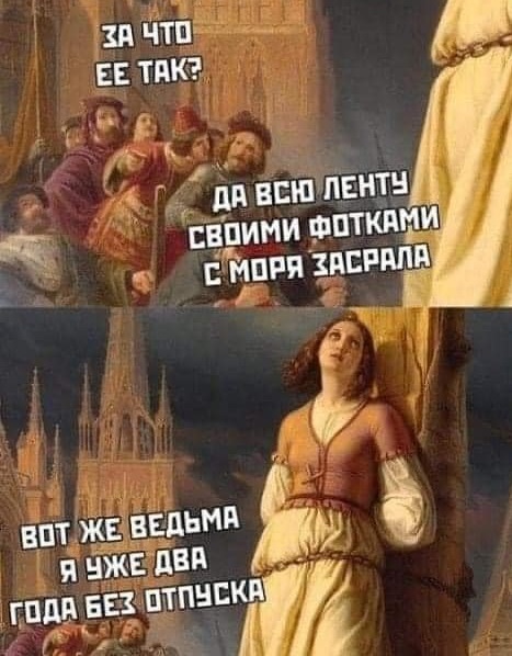 15766624.jpg