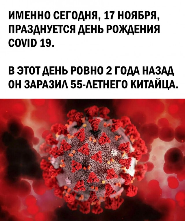 16148777.jpg