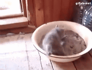 tumblr_npbtftPsnE1s2yegdo1_400.gif