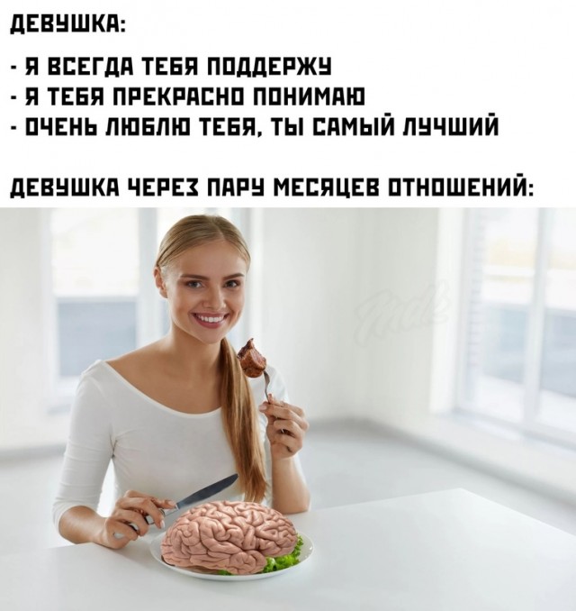 15461846.jpg